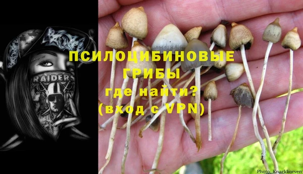 тгк Медвежьегорск