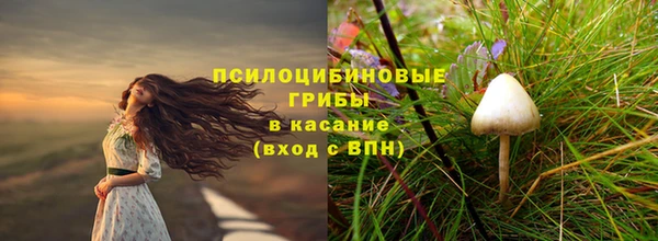 тгк Михайловск